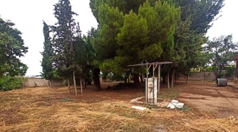 Albacete - Hellín - 725m2