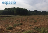 Xalet independent amb terreny en venda a la España, Arganza, ref.: TR301263 foto