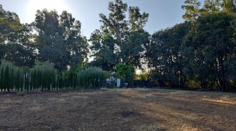 Córdoba - Còrdova - 1700m2