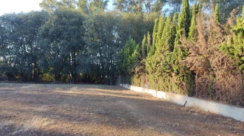 Córdoba - Còrdova - 1700m2