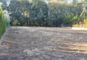 Terreny no urbanitzable en venda a la España, Almodóvar del Río, ref.: TR128893 foto