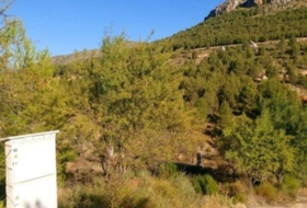 Foto 6