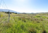 Non-developable land for sale on España, Dúrcal, ref: TR244188 photo