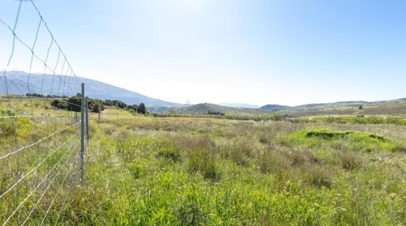 Granada - Dúrcal - 8000m2