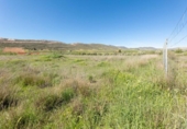 Non-developable land for sale on España, Dúrcal, ref: TR244188 photo