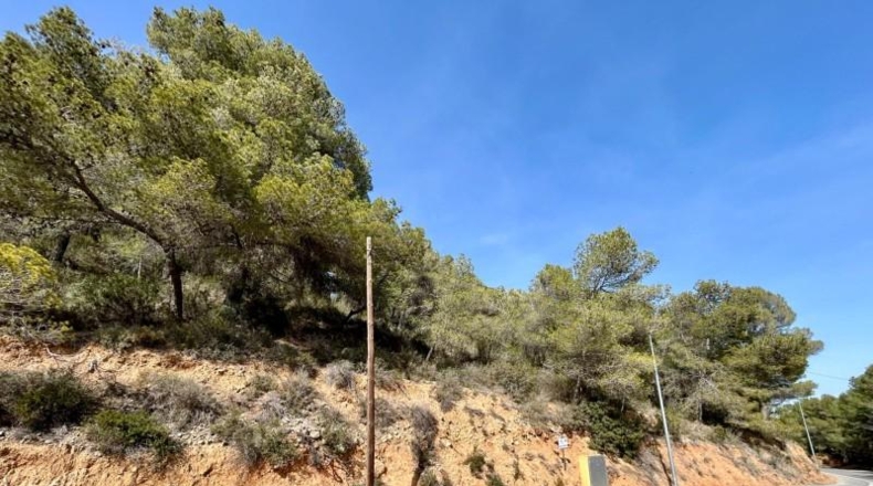 Barcelona - Torrelles de Foix - 855m2