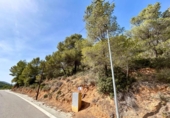 Suelo urbano en venta en la España, Torrelles de Foix, ref: TR128314 foto