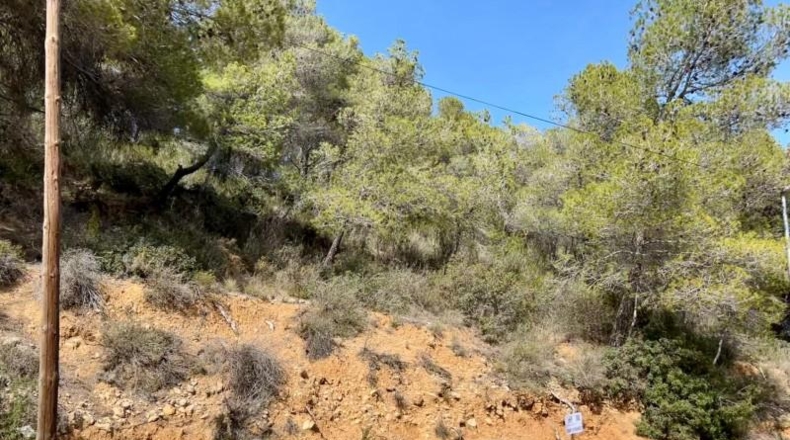 Barcelona - Torrelles de Foix - 855m2