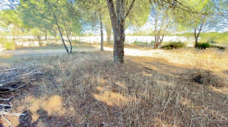 Huelva - Almonte - 4300m2
