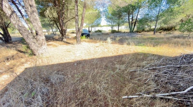 Huelva - Almonte - 4300m2