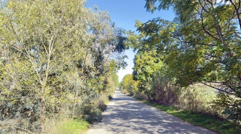 Huelva - Almonte - 4300m2