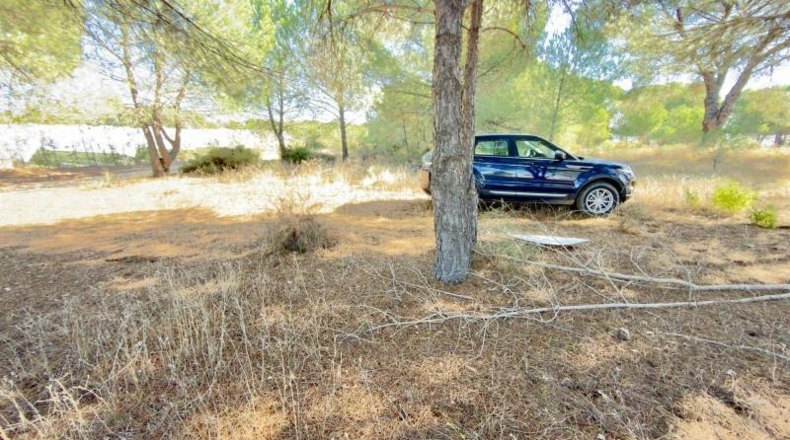 Huelva - Almonte - 4300m2