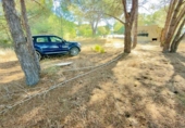 Casa de camp amb terreny en venda a la España, Almonte, ref.: TR398818 foto