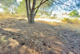 Almonte 4300&nbsp;m²