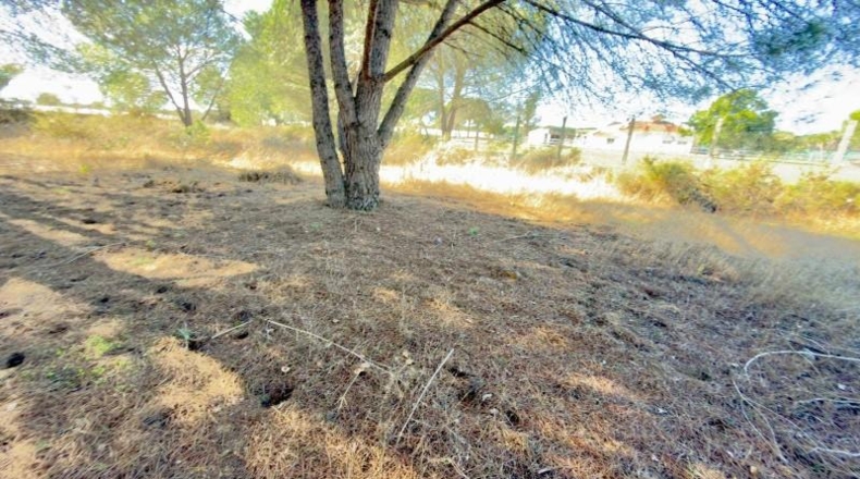 Huelva - Almonte - 4300m2
