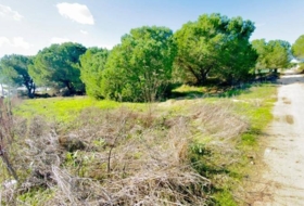 Almonte 4300&nbsp;m²
