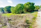 Casa de camp amb terreny en venda a la España, Almonte, ref.: TR398818 foto