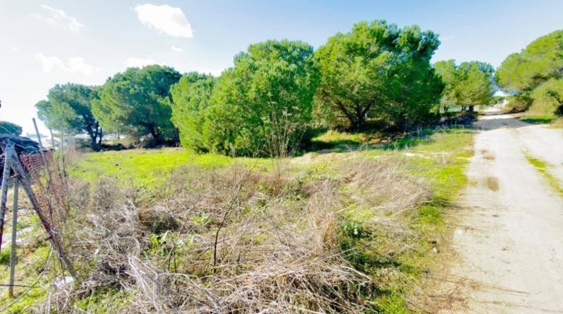 Huelva - Almonte - 4300m2