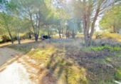 Casa de camp amb terreny en venda a la España, Almonte, ref.: TR398818 foto