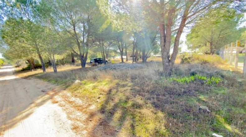 Huelva - Almonte - 4300m2