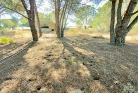 Almonte 4300&nbsp;m²