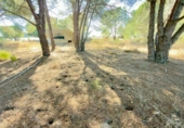 Casa de camp amb terreny en venda a la España, Almonte, ref.: TR398818 foto