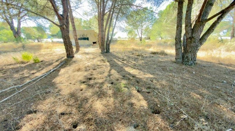 Huelva - Almonte - 4300m2