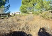 Casa de camp amb terreny en venda a la España, Almonte, ref.: TR398818 foto