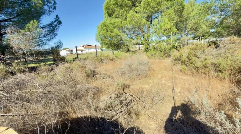 Huelva - Almonte - 4300m2