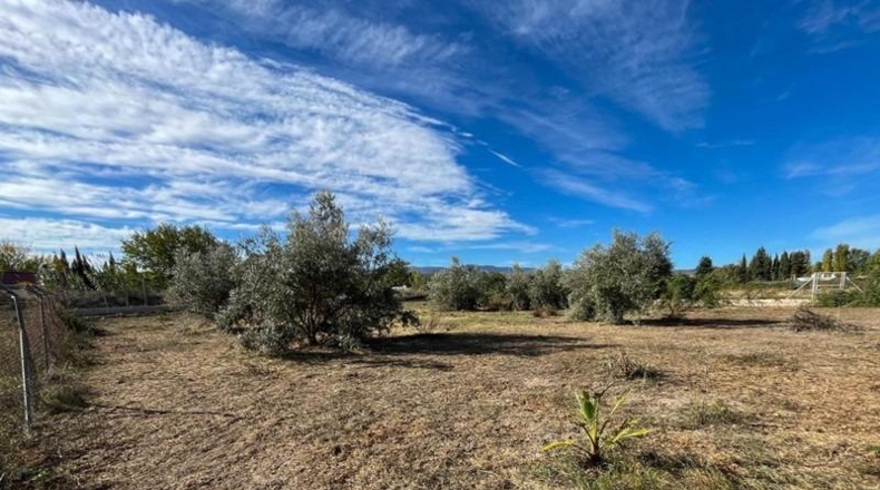 Granada - Padul - 2116m2