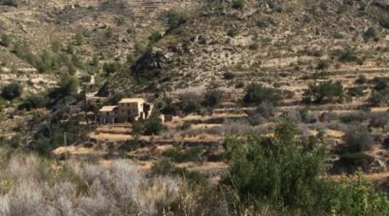 Alicante - Alicante - 10072m2