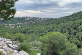 Foto 6