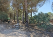 Parcela urbanizable en venta en la España, La Gineta, ref: TR168079 foto