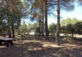 Parcela urbanizable en venta en la España, La Gineta, ref: TR168079 foto
