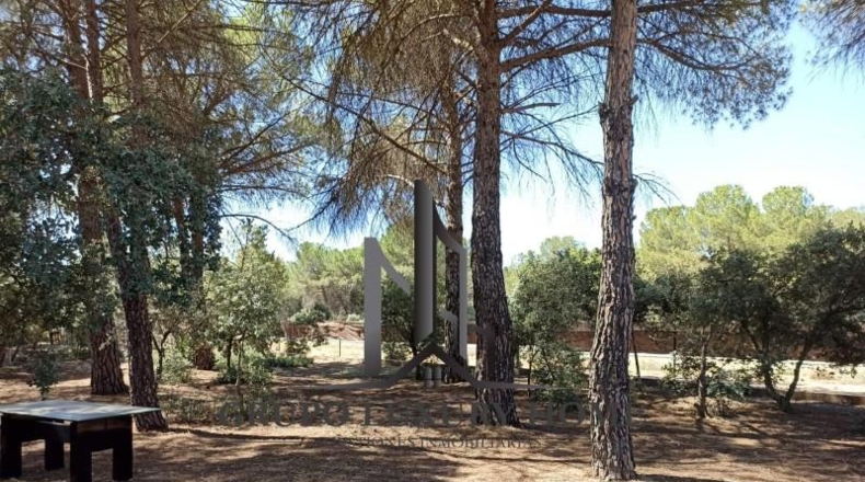 Albacete - Fuensanta - 3000m2