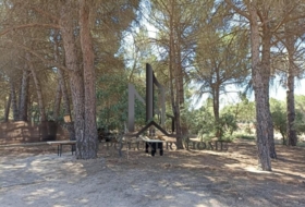 Foto 9