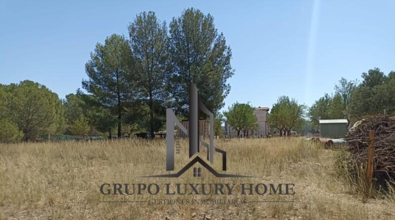 Albacete - Fuensanta - 3000m2