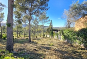 Canyelles 748&nbsp;m²