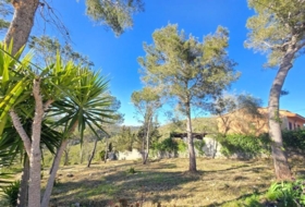 Canyelles 748&nbsp;m²