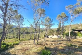 Canyelles 748&nbsp;m²