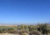 Земля на продажу у города Villa de Otura Фото