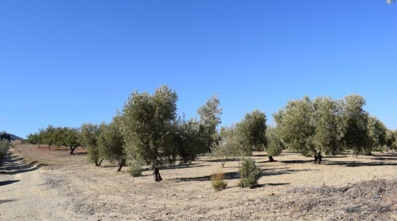 Granada - Villa de Otura - 15000m2