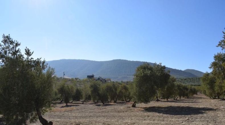 Granada - Villa de Otura - 15000m2