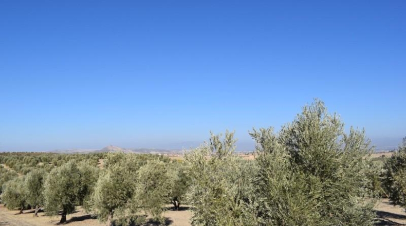 Granada - Villa de Otura - 15000m2