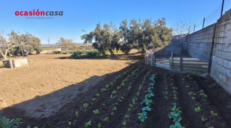 Córdoba - Pozoblanco - 844m2