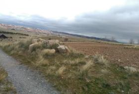 Àvila 9000&nbsp;m² 