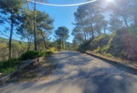 Foto 7