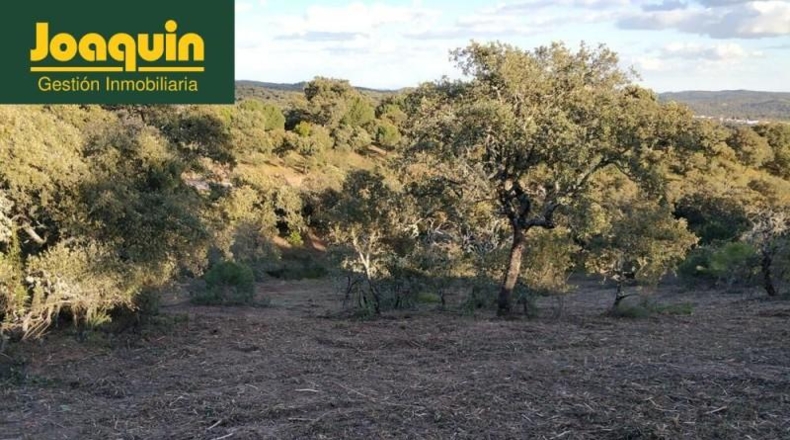 Córdoba - Còrdova - 10000m2