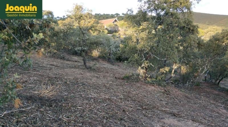 Córdoba - Còrdova - 10000m2