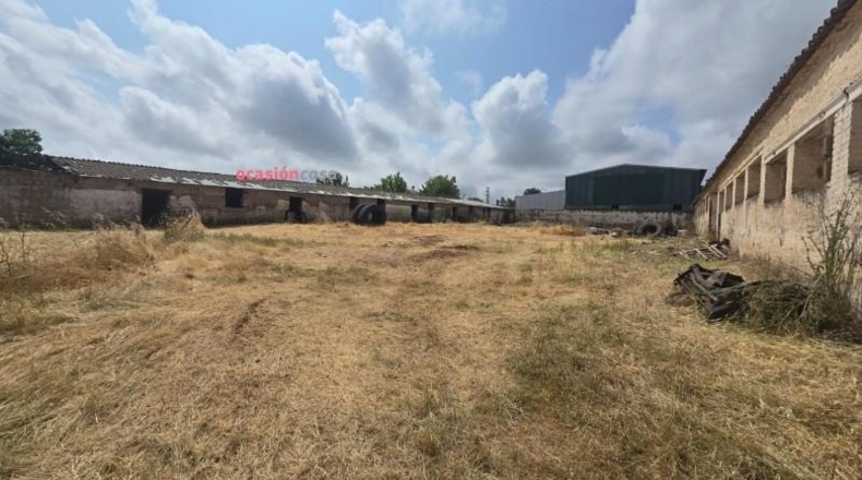 Córdoba - Fuente Obejuna - 3540m2
